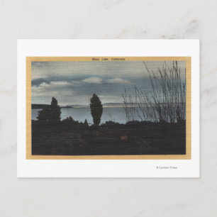 View of Mono Lake Postcard