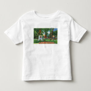 View of Monument at Wisner Park Toddler T-Shirt
