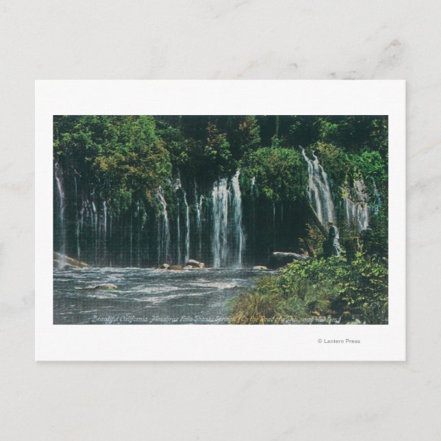 View of Mossbrae FallsShasta Springs, CA Postcard (Front)