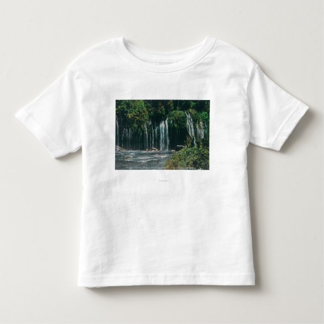 View of Mossbrae FallsShasta Springs, CA Toddler T-Shirt (Front)