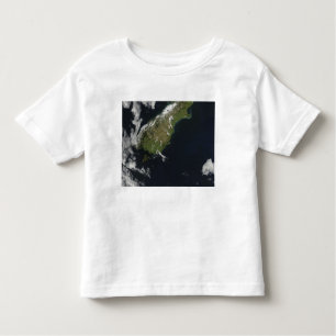 View of most of the South Island of New Zealand Toddler T-Shirt