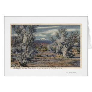 View of Mt. San Gorgonio & Palm Springs