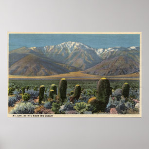 View of Mt. San Jacinto Near Palm Springs Poster