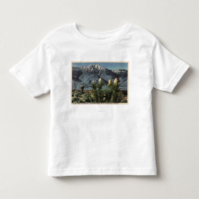 View of Mt. San Jacinto, Yucca Mohavensis Toddler T-Shirt (Front)