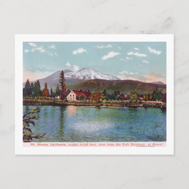 View of Mt. Shasta from the Fish Hatchery Postcard (Front)