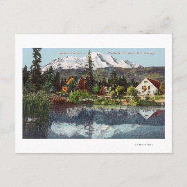 View of Mt. Shasta from the Sisson Fish Hatchery Postcard (Front)