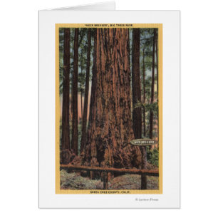 View of "Neck Breaker" at Big Trees Park