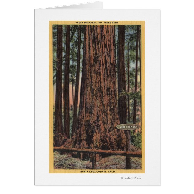 View of "Neck Breaker" at Big Trees Park (Front)