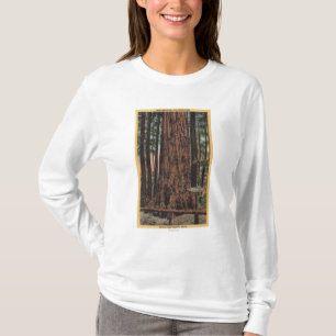 View of "Neck Breaker" at Big Trees Park T-Shirt