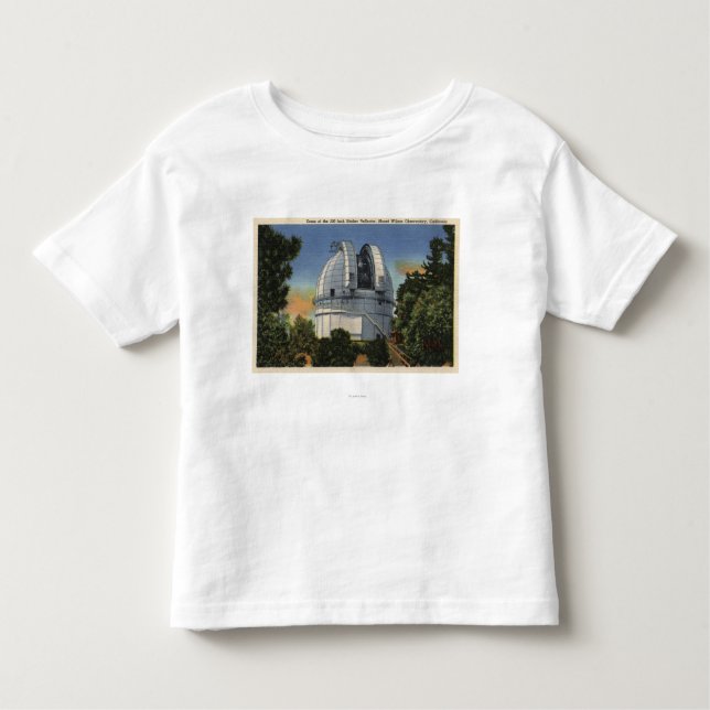 View of Observatory & Telescope Dome Toddler T-Shirt (Front)