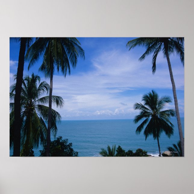 View of ocean horizon from land poster (Front)