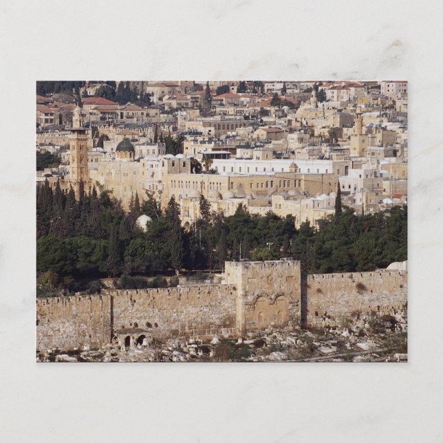 View of Old City from the Mount of Olives, Jerusal Postcard (Front)