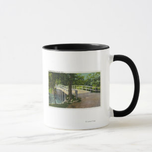 View of Old North Bridge Mug