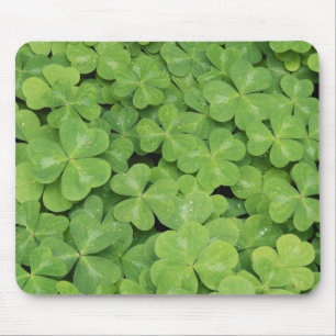 View of Oxalis Oregana wood Sorrel Foliage Mouse Pad