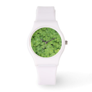 View of Oxalis Oregana wood Sorrel Foliage Watch