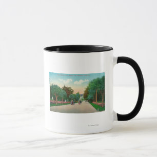 View of Palm Avenue at Sutro Heights Mug