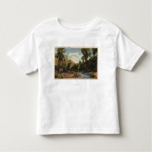 View of Palm Springs Canyon Toddler T-Shirt