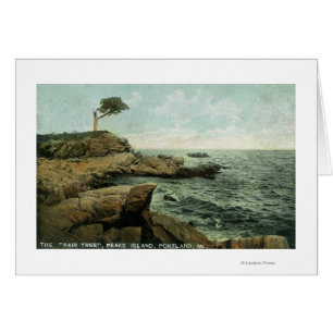View of Peaks Island and the Pair Tree