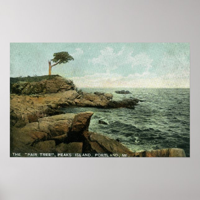 View of Peaks Island and the Pair Tree Poster (Front)