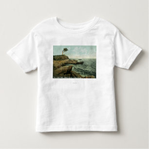 View of Peaks Island and the Pair Tree Toddler T-Shirt