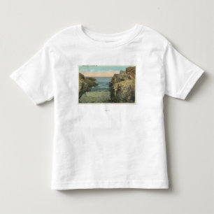 View of Pebble Cove Toddler T-Shirt