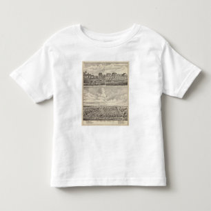 View of Public Park and Residence in Minnesota Toddler T-Shirt