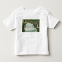 View of Rainbow Falls # 2