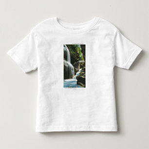 View of Rainbow Falls Toddler T-Shirt