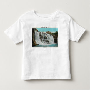 View of Rainbow Falls Toddler T-Shirt
