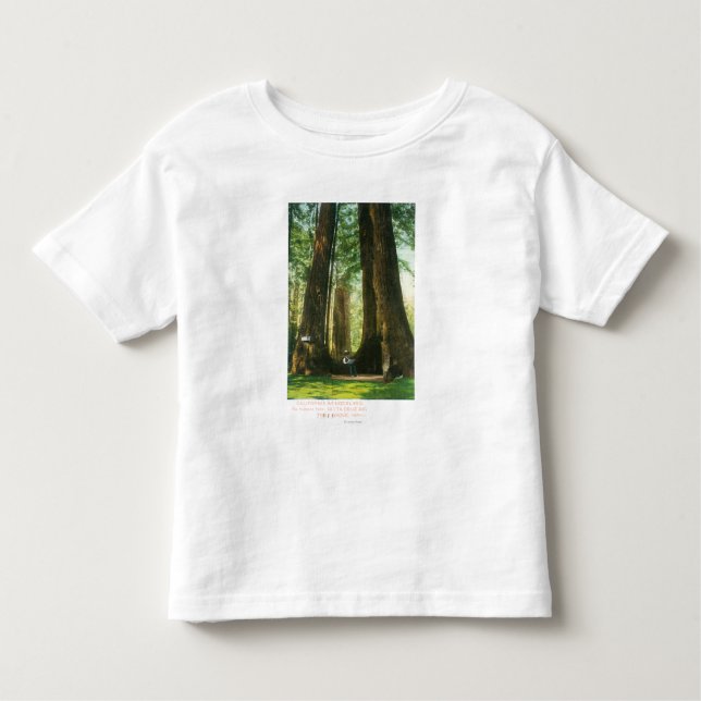 View of Redwood Twins at Big Tree Grove Toddler T-Shirt (Front)