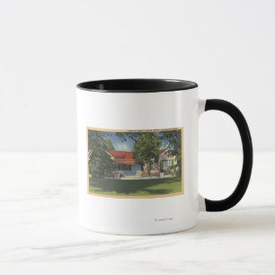 View of Robert Taylor's Residence Mug