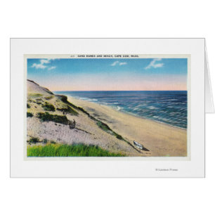 View of Sand Dunes and the Beach