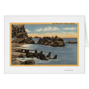 View of Seal Rocks with Seals