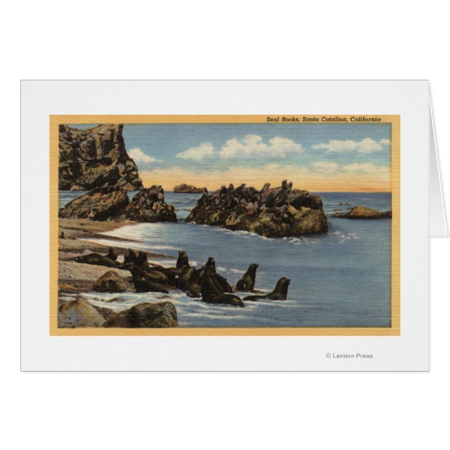 View of Seal Rocks with Seals (Front Horizontal)