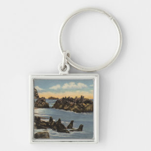 View of Seal Rocks with Seals Key Ring