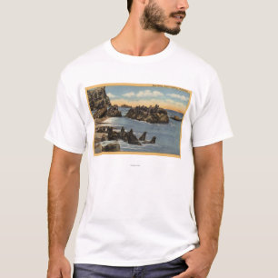 View of Seal Rocks with Seals T-Shirt