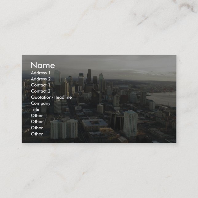 View Of Seattle City From Top Of Space Needle Business Card (Front)