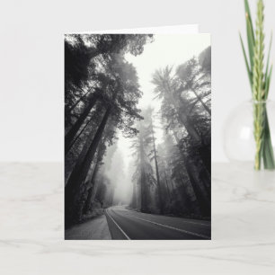 View Of Sequoia Trees In Forest Card