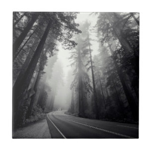 View Of Sequoia Trees In Forest Ceramic Tile