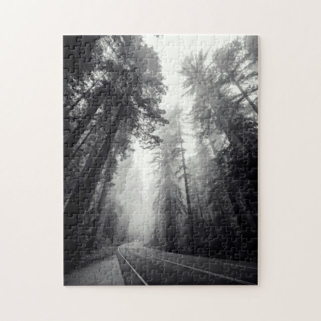 View Of Sequoia Trees In Forest Jigsaw Puzzle (Vertical)