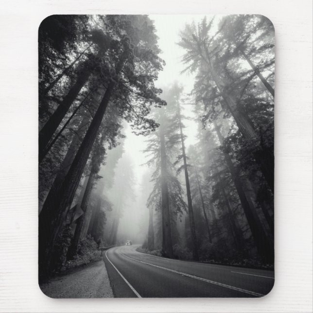View Of Sequoia Trees In Forest Mouse Pad (Front)
