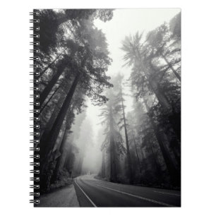 View Of Sequoia Trees In Forest Notebook