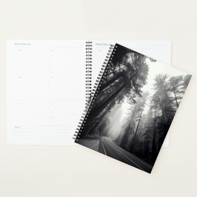 View Of Sequoia Trees In Forest Planner (Display)