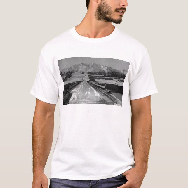 View of Seward, Alaska From the Bridge Photograp T-Shirt (Front)