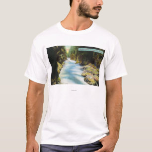 View of Seymour Canyon T-Shirt