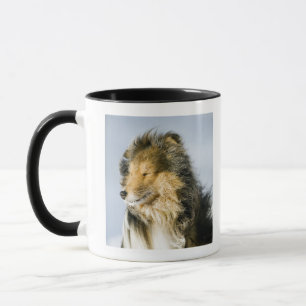 View of shetland sheepdog mug