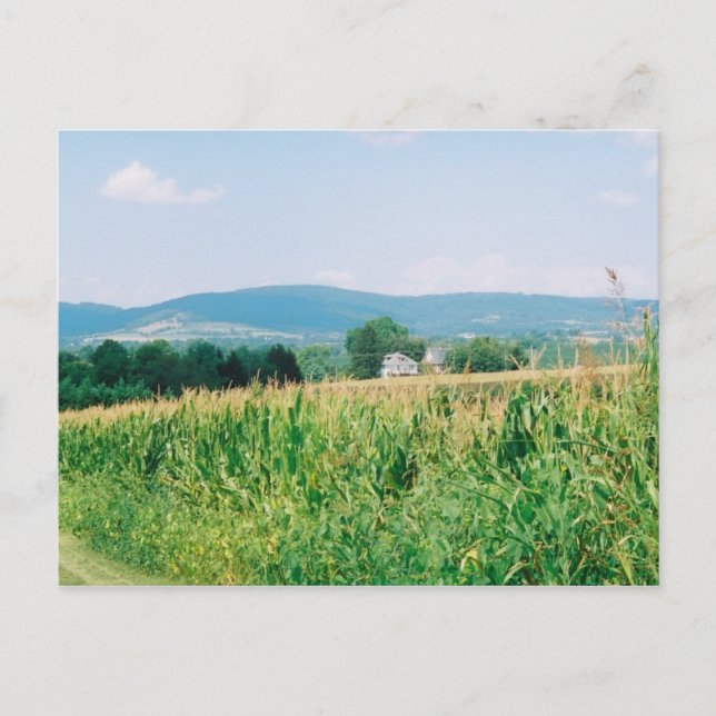 View of South Mountain, Turner's Gap Postcard (Front)