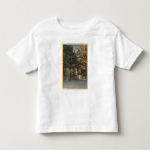 View of St. James Episcopal Church Toddler T-Shirt