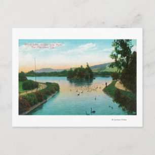View of Stowe Lake at Golden Gate Park Postcard