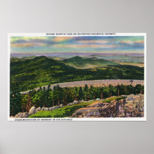 View of the 2nd Hairpin Turn on Memorial Hwy Poster